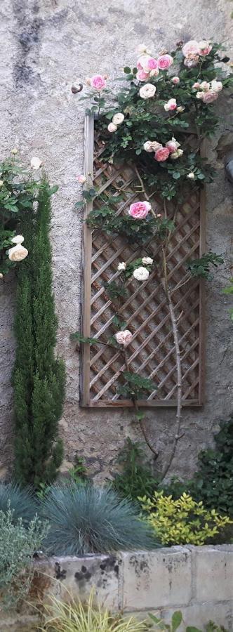 Hotel De Biencourt Azay-le-Rideau Eksteriør billede